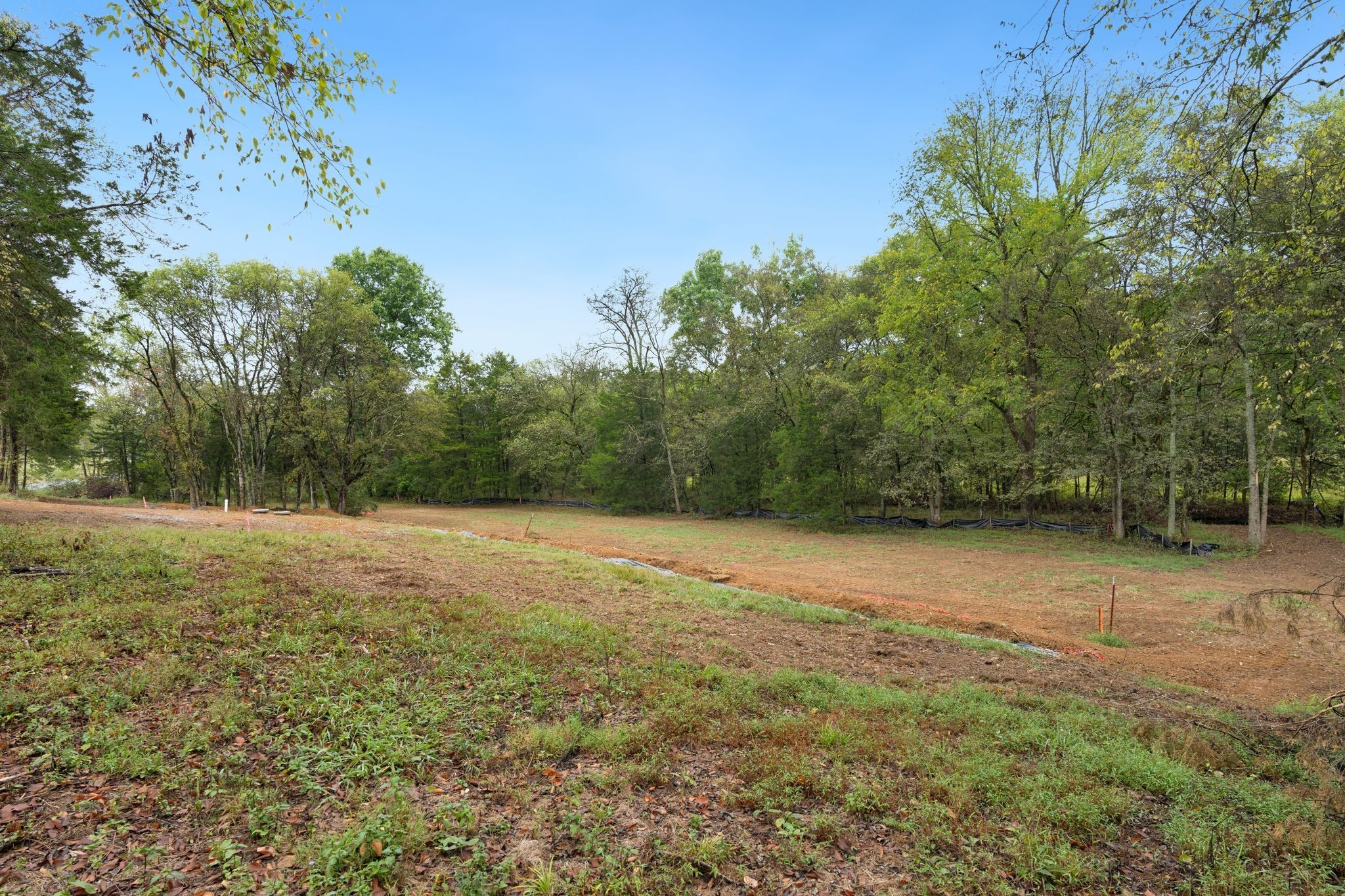 6853 Cross Keys Road College Grove, TN 37046 - Photo 43 of 74 a view of a field with trees in background