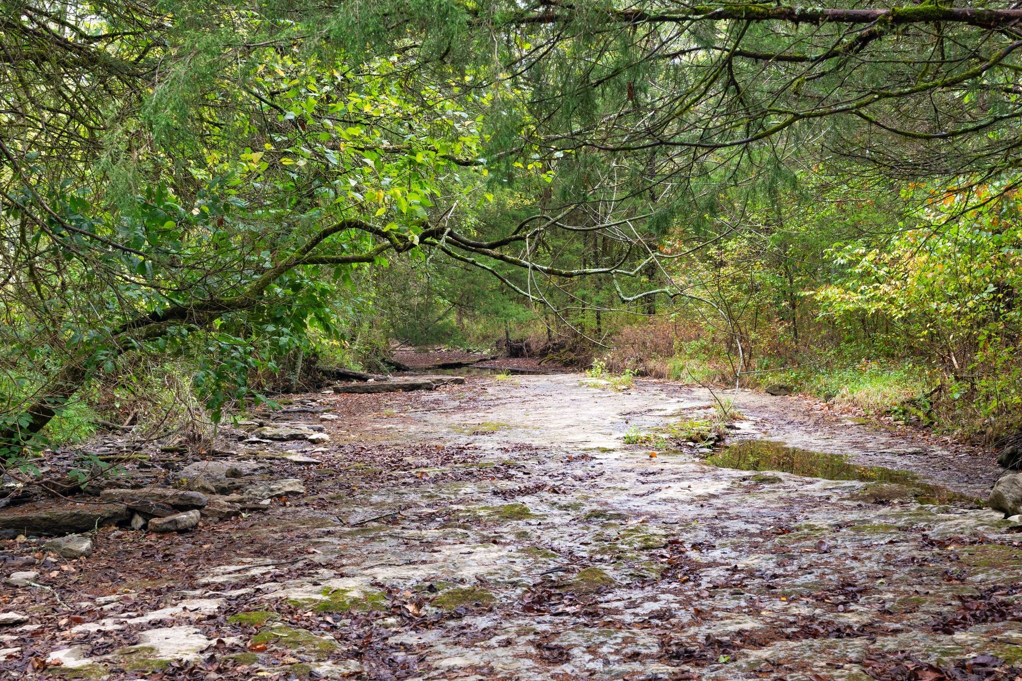 6853 Cross Keys Road College Grove, TN 37046 - Photo 45 of 74