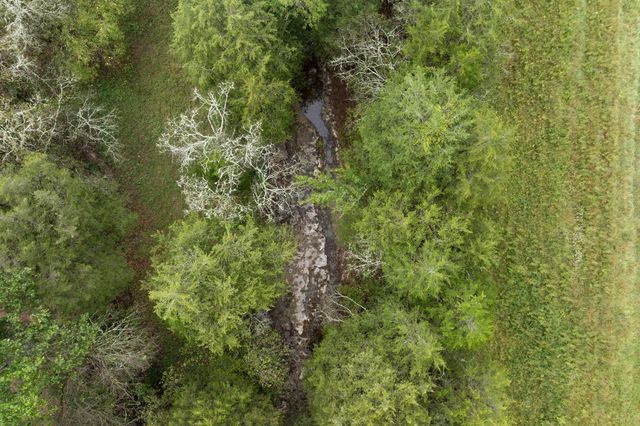 $2,169,399 | 6853 Cross Keys Road, College Grove, TN 37046