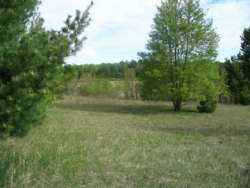 11511 Newcosta Road Paris, MI 49338 - Photo 1 of 1 Primary Photo