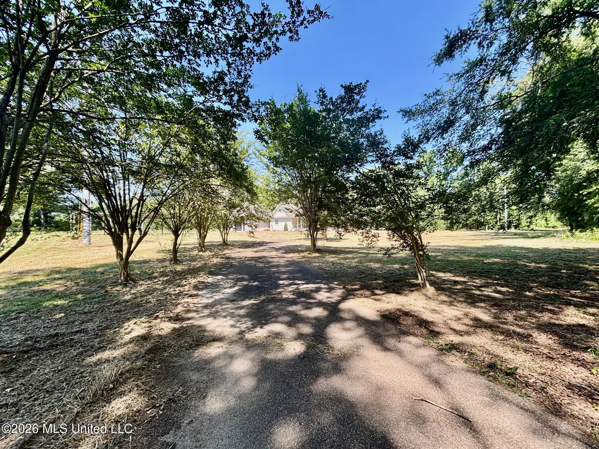5014 Leatherwood Road Tylertown, MS 39667 - Photo 23 of 32 IMG_4375