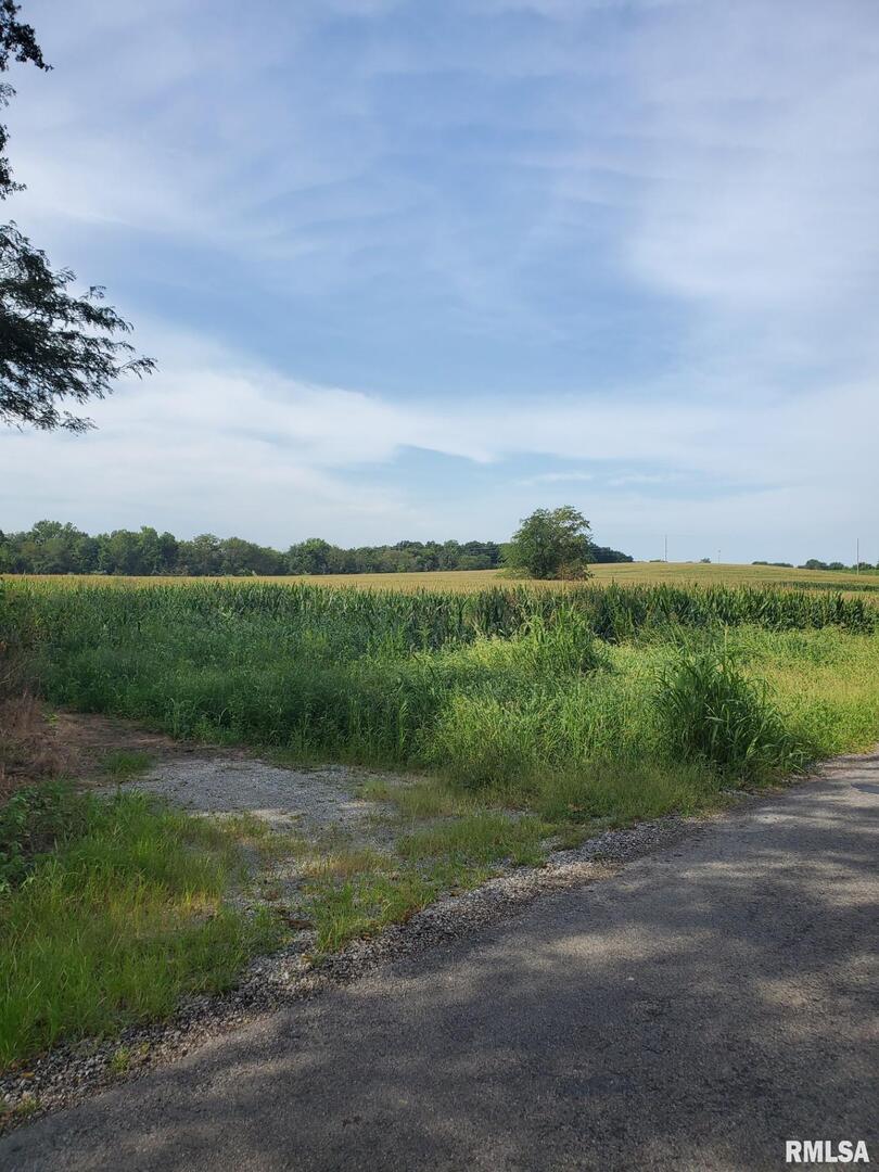 0 Day Road Goreville, IL 62939 - Photo 1 of 2 a view of a lake with a big yard
