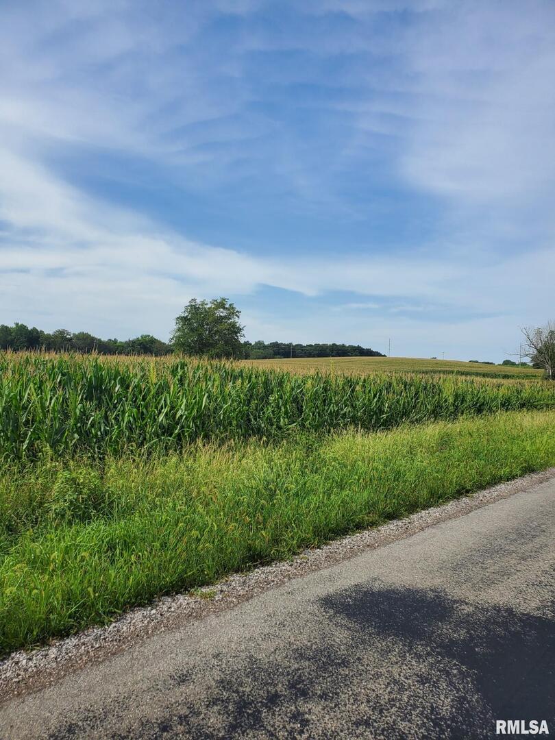 0 Day Road Goreville, IL 62939 - Photo 2 of 2 a view of a garden with an ocean