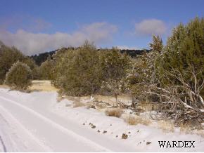 1511 B Bucks Road Seligman, AZ 86337 - Photo 3 of 9 Additional Photo