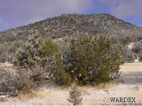 1511 B Bucks Road Seligman, AZ 86337 - Photo 4 of 9 Additional Photo