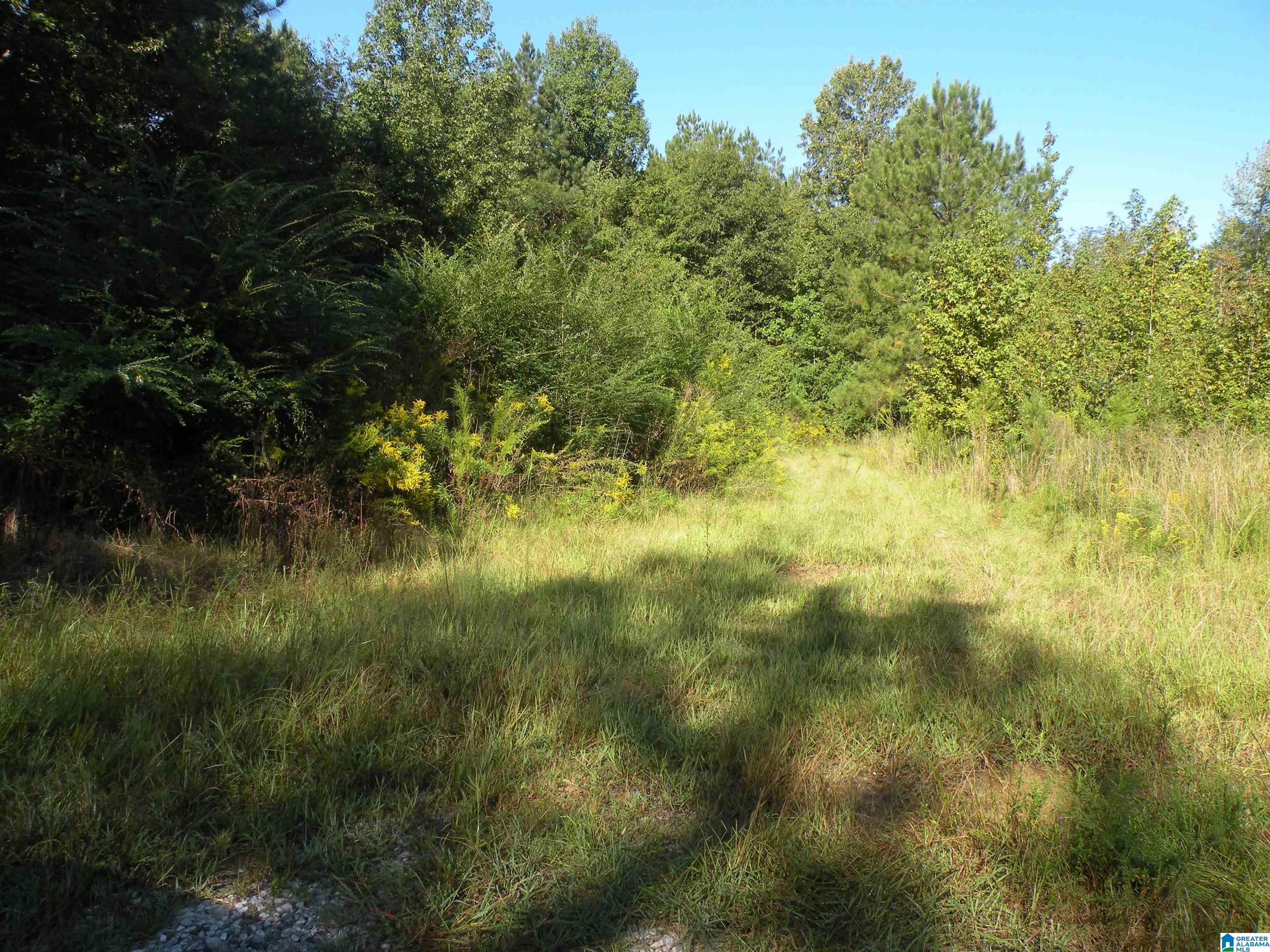 Grist Mill Road, Unit 1 Childersburg, AL 35044 - Photo 4 of 6
