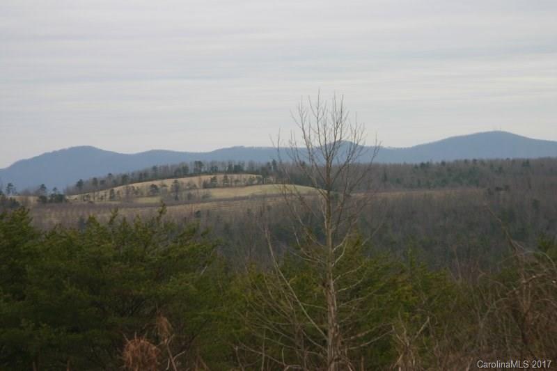 594 Low Gap Road Hendersonville, NC 28792 - Photo 1 of 22 Gallery Image 1
