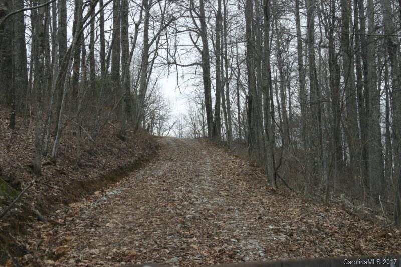 594 Low Gap Road Hendersonville, NC 28792 - Photo 2 of 22 Gallery Image 2