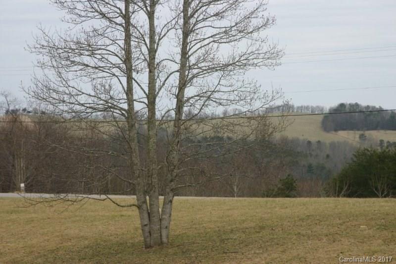 594 Low Gap Road Hendersonville, NC 28792 - Photo 11 of 22 Gallery Image 11