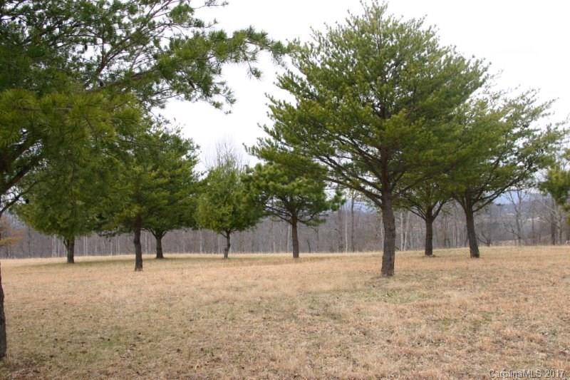 594 Low Gap Road Hendersonville, NC 28792 - Photo 12 of 22 Gallery Image 12