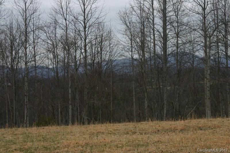 594 Low Gap Road Hendersonville, NC 28792 - Photo 13 of 22 Gallery Image 13