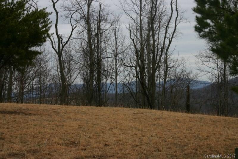 594 Low Gap Road Hendersonville, NC 28792 - Photo 14 of 22 Gallery Image 14
