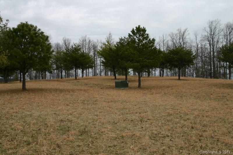 594 Low Gap Road Hendersonville, NC 28792 - Photo 15 of 22 Gallery Image 15