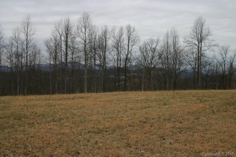 594 Low Gap Road Hendersonville, NC 28792 - Photo 16 of 22 Gallery Image 16
