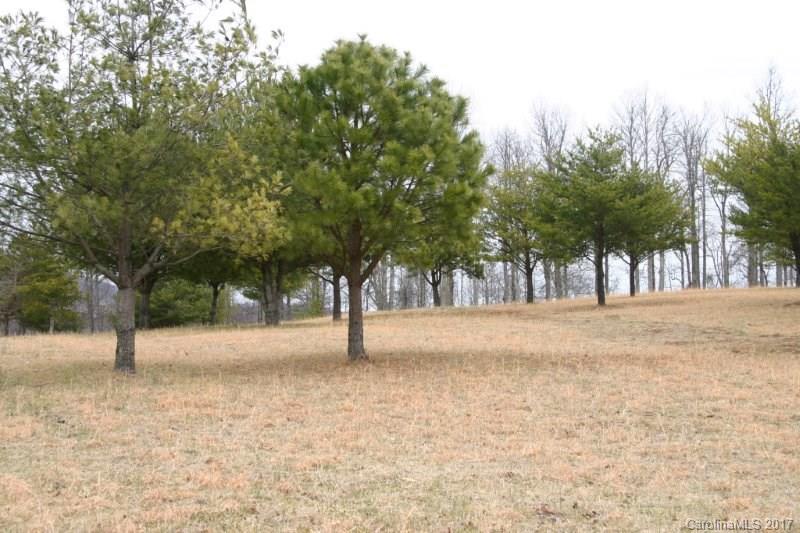 594 Low Gap Road Hendersonville, NC 28792 - Photo 19 of 22 Gallery Image 19