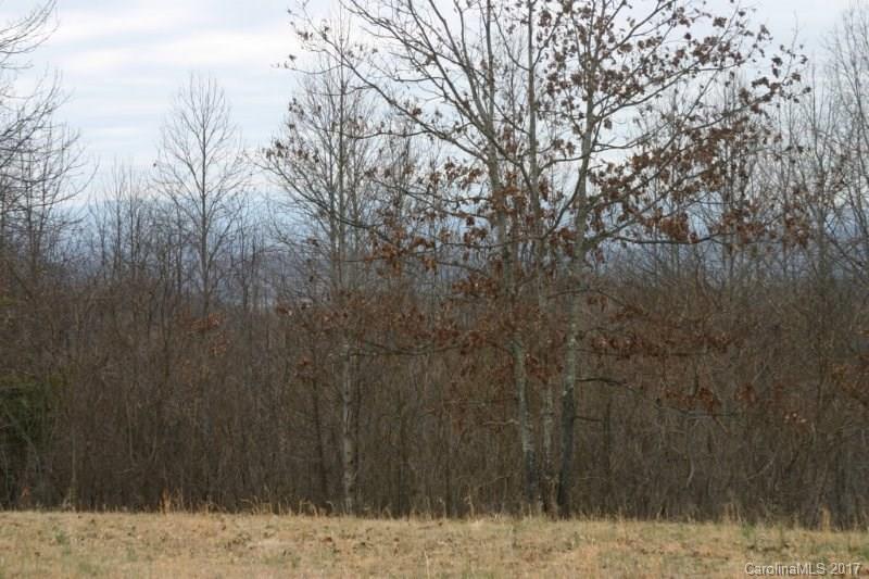 594 Low Gap Road Hendersonville, NC 28792 - Photo 20 of 22 Gallery Image 20
