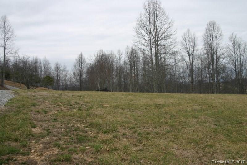 594 Low Gap Road Hendersonville, NC 28792 - Photo 3 of 22 Gallery Image 3