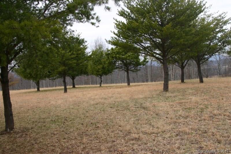 594 Low Gap Road Hendersonville, NC 28792 - Photo 21 of 22 Gallery Image 21