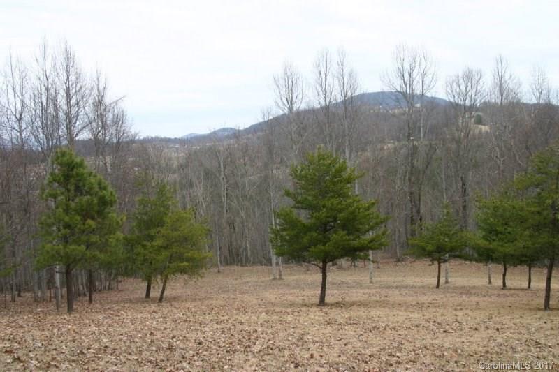 594 Low Gap Road Hendersonville, NC 28792 - Photo 22 of 22 Gallery Image 22