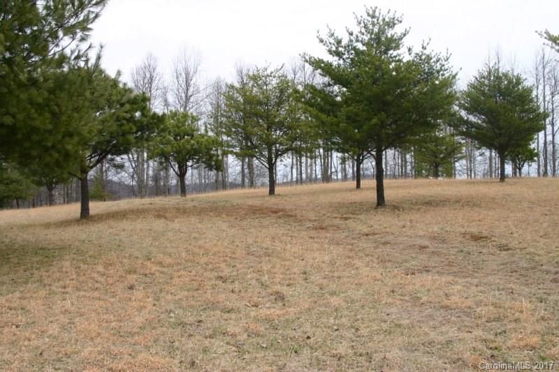 594 Low Gap Road Hendersonville, NC 28792 - Photo 5 of 22 Gallery Image 5