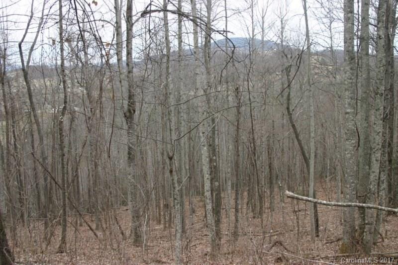 594 Low Gap Road Hendersonville, NC 28792 - Photo 6 of 22 Gallery Image 6