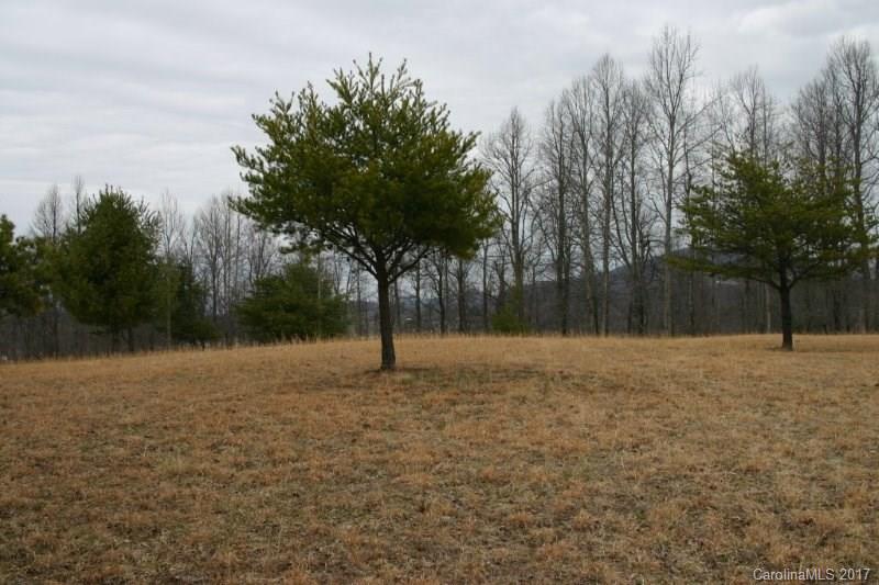 594 Low Gap Road Hendersonville, NC 28792 - Photo 7 of 22 Gallery Image 7