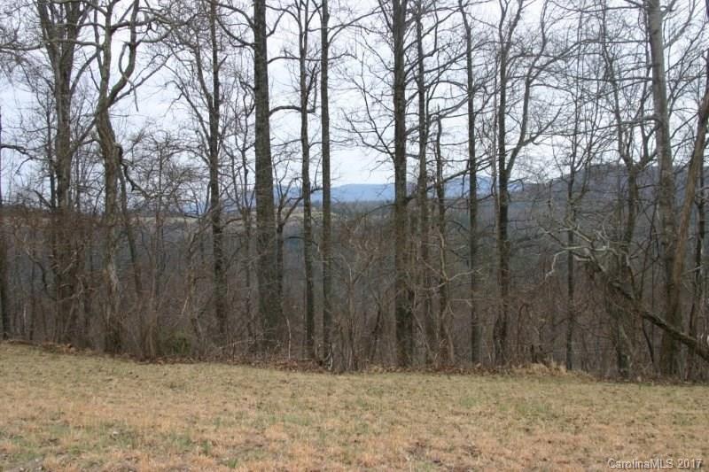594 Low Gap Road Hendersonville, NC 28792 - Photo 8 of 22 Gallery Image 8
