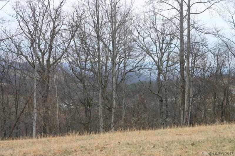 594 Low Gap Road Hendersonville, NC 28792 - Photo 9 of 22 Gallery Image 9