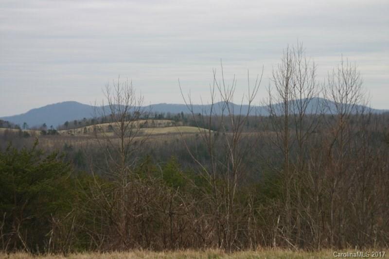 594 Low Gap Road Hendersonville, NC 28792 - Photo 10 of 22 Gallery Image 10
