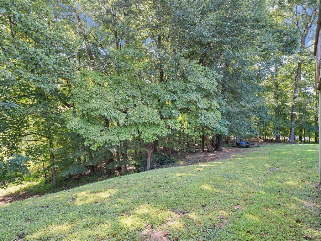 525 Mulberry Road Ridgeway, VA 24148 - Photo 51 of 55 a view of a field with a tree