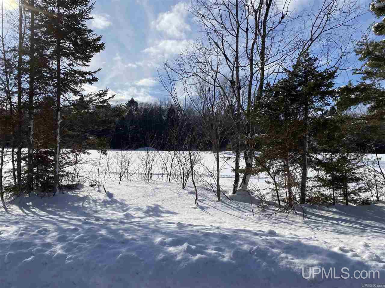 Tbd Halverson Road Skandia, MI 49885 - Photo 6 of 14