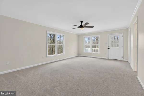 a view of a backyard with a trees