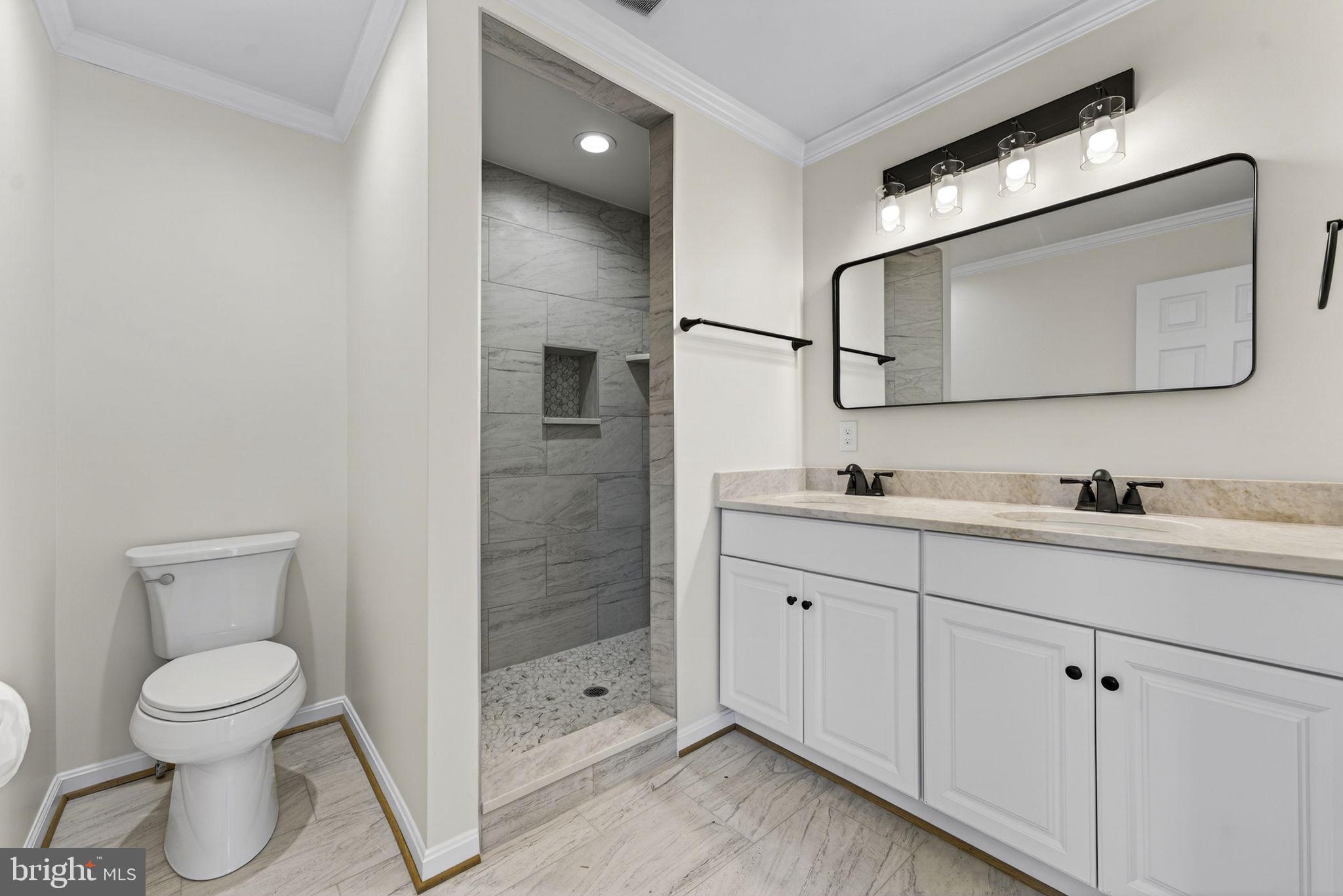 584 South Poes Road Amissville, VA 20106 - Photo 50 of 82 a bathroom with a toilet sink and mirror