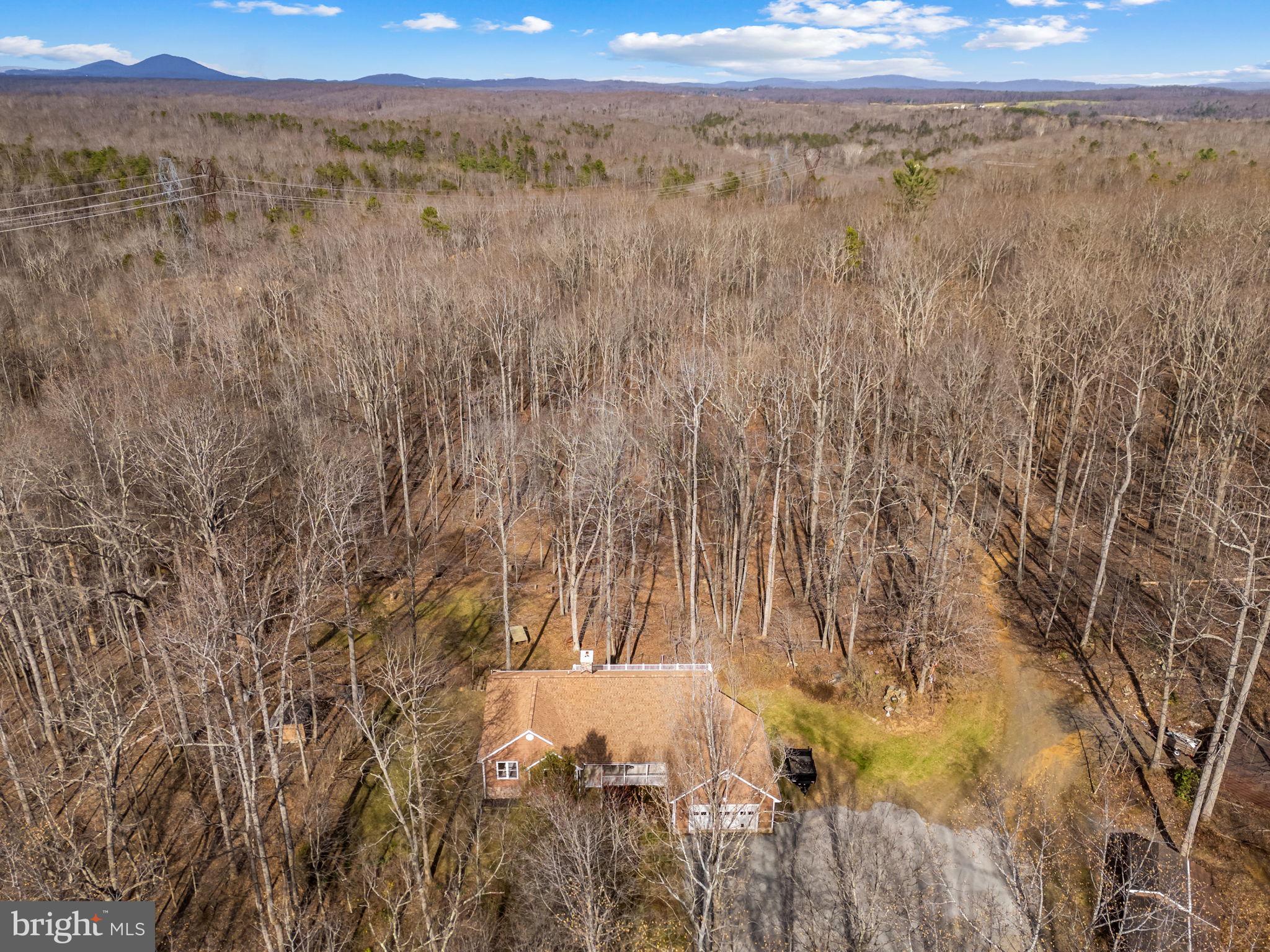 584 South Poes Road Amissville, VA 20106 - Photo 6 of 82 a view of a forest with trees in the background