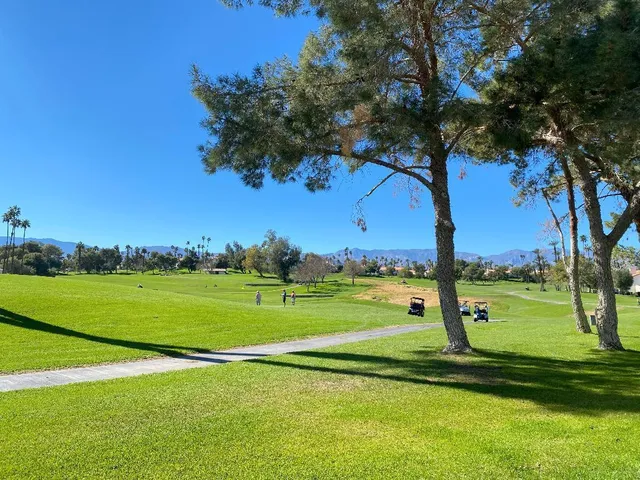 a view of a white house with a big yard and potted plants and large trees