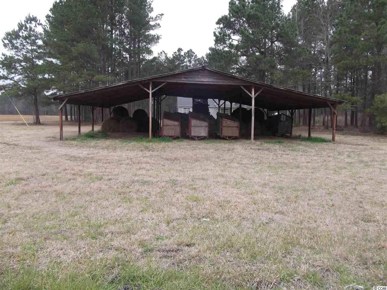 221 Halfway Road Nichols, SC 29581 - Photo 2 of 25 Gallery Image 2