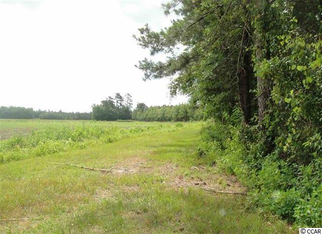 221 Halfway Road Nichols, SC 29581 - Photo 23 of 25 Gallery Image 23