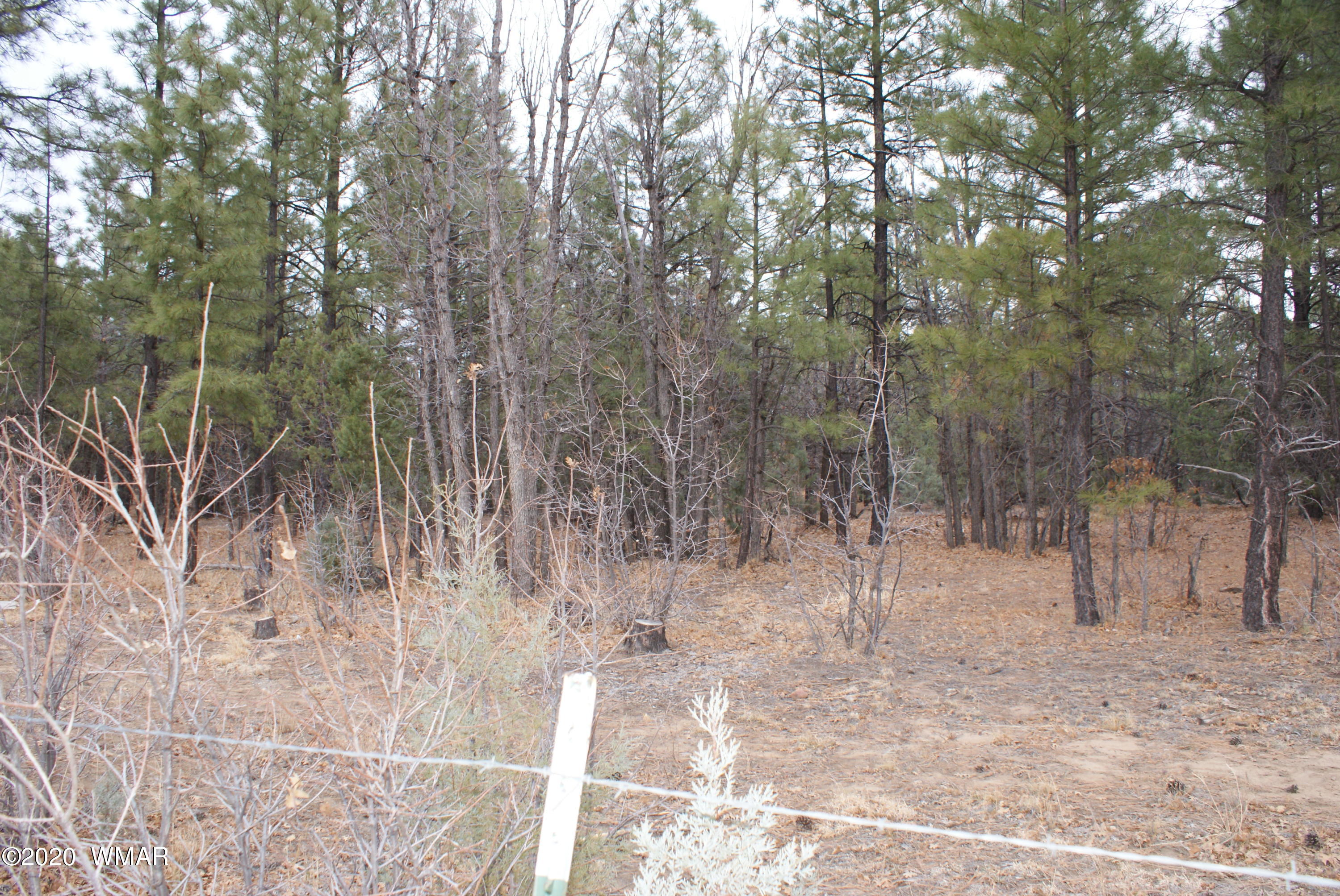 Tbd North Woodland Road Lakeside, AZ 85929 - Photo 17 of 20