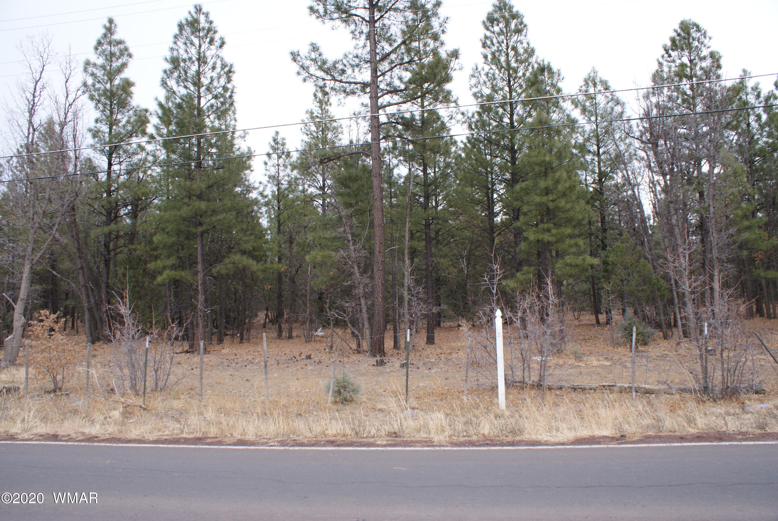 Tbd North Woodland Road Lakeside, AZ 85929 - Photo 19 of 20