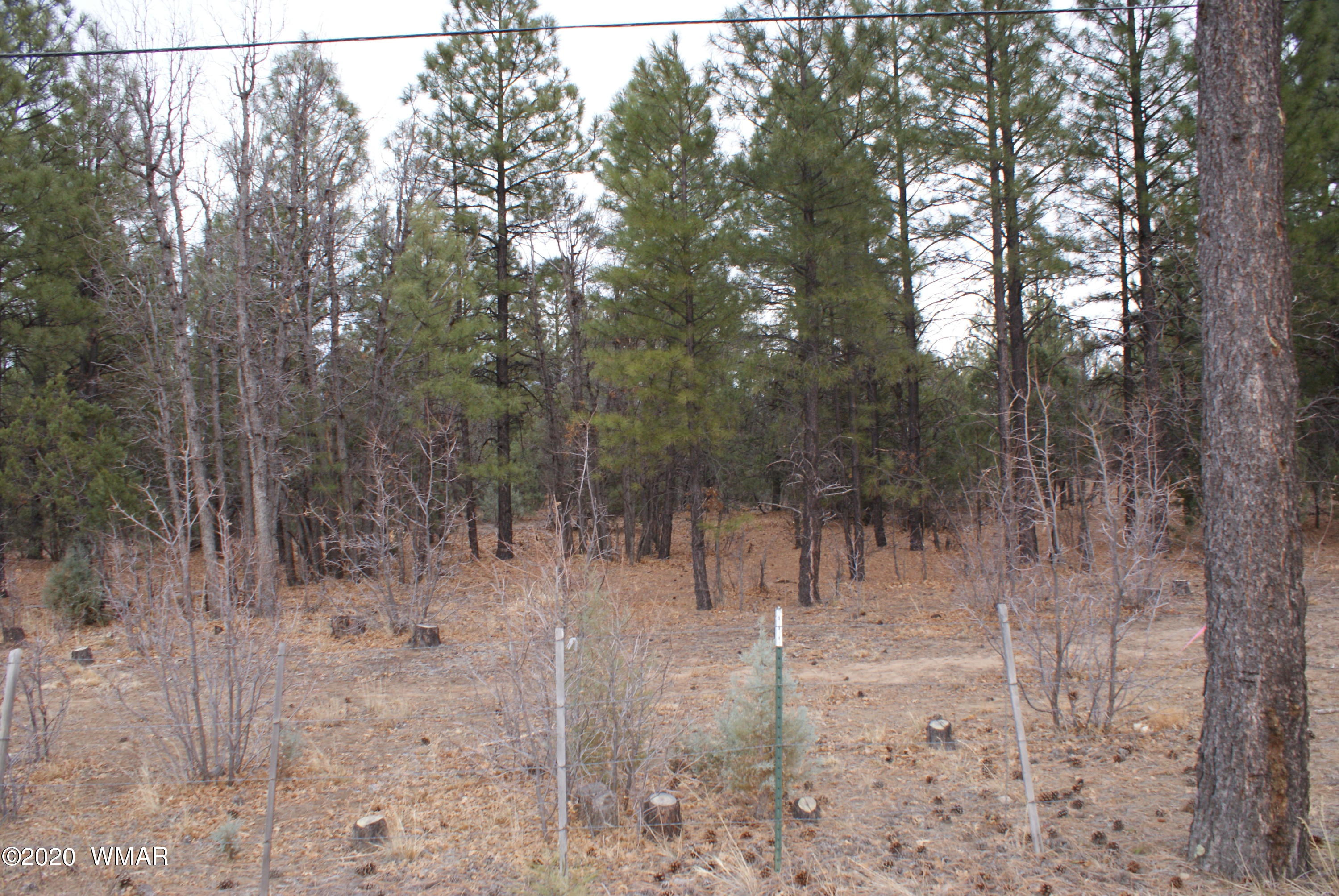 Tbd North Woodland Road Lakeside, AZ 85929 - Photo 20 of 20