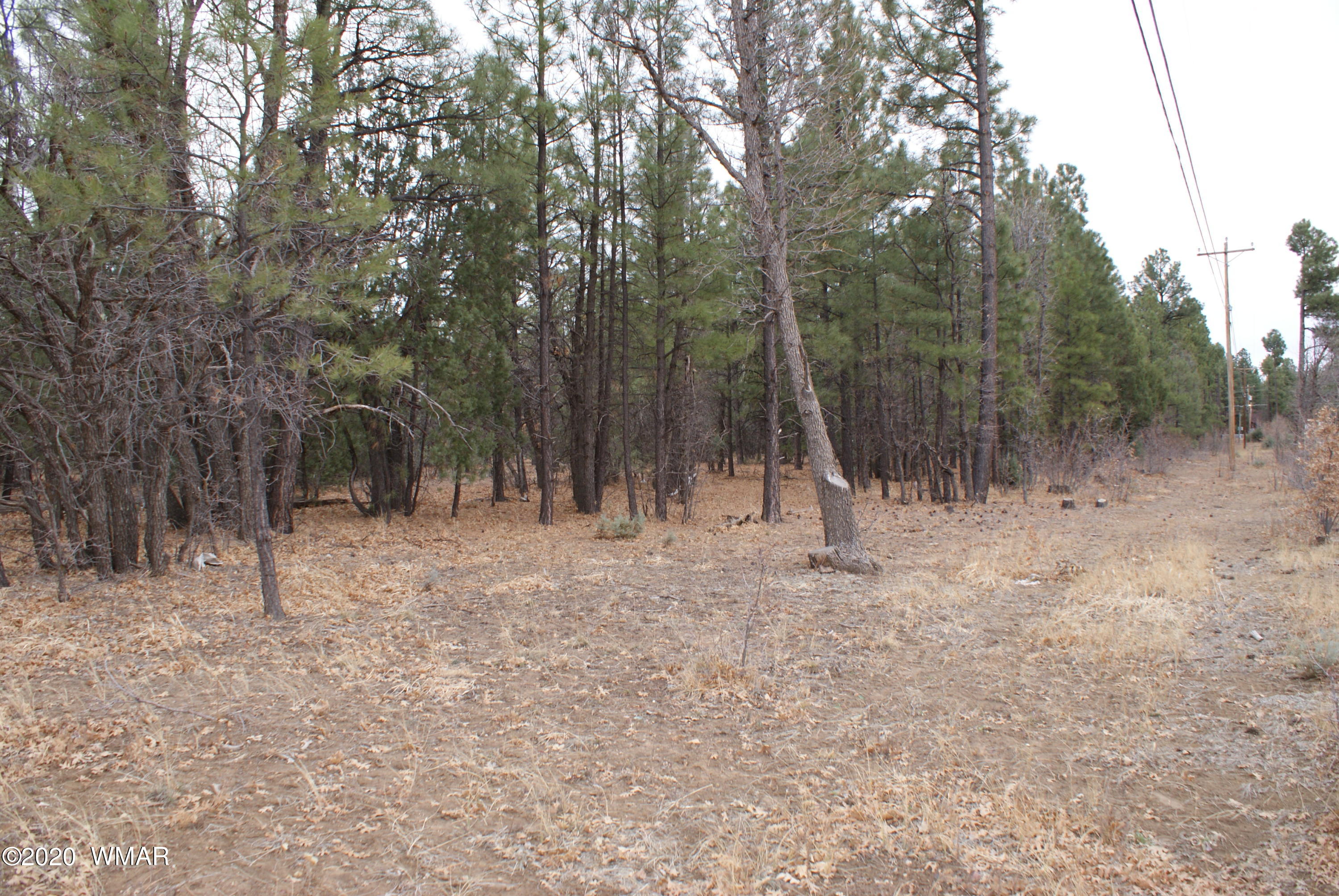 Tbd North Woodland Road Lakeside, AZ 85929 - Photo 6 of 20