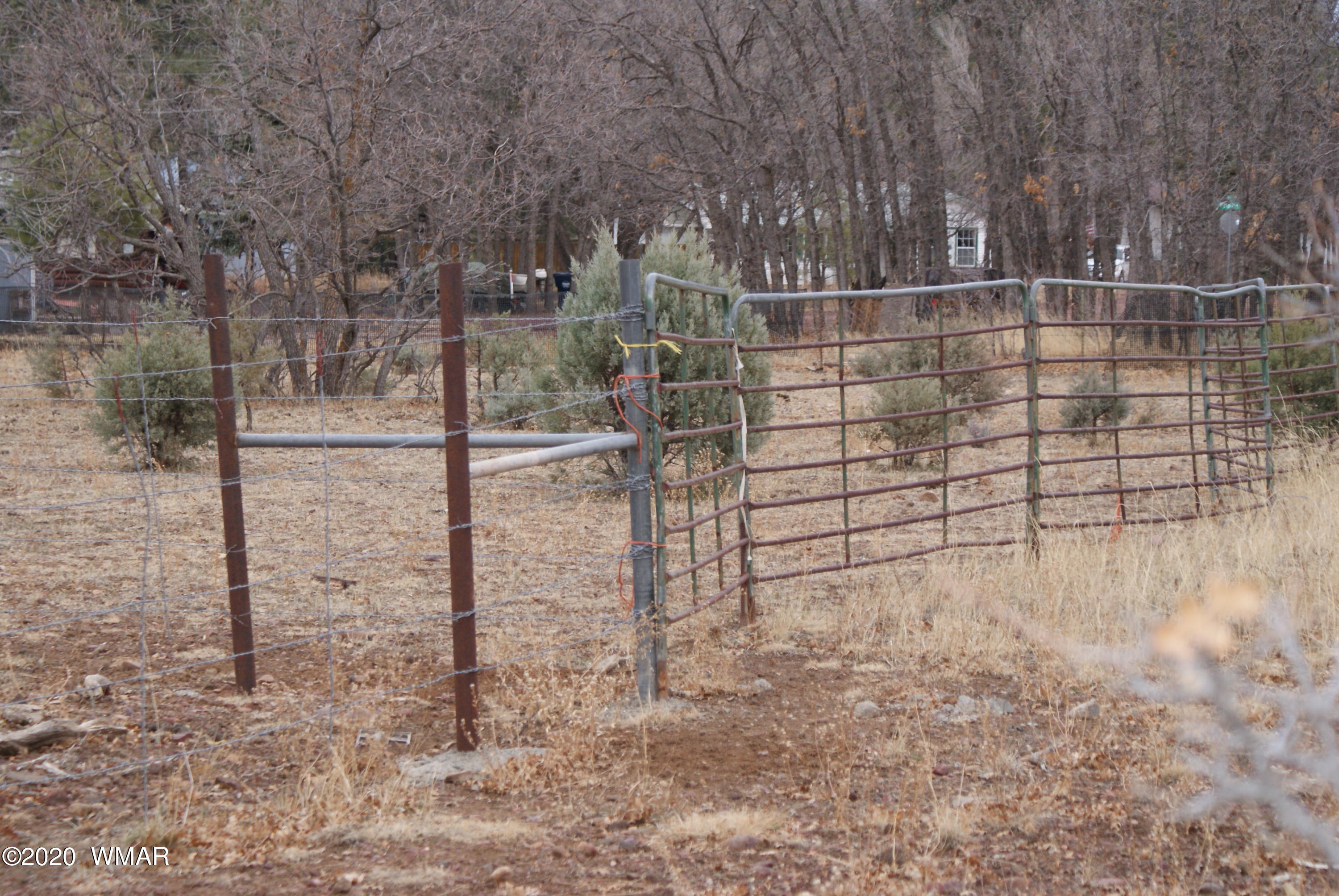 Tbd North Woodland Road Lakeside, AZ 85929 - Photo 10 of 20