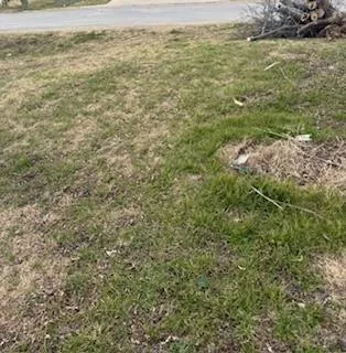 $50,000 | 3 Orr 0.069 Acre Ash Street, Ferris, TX 75125