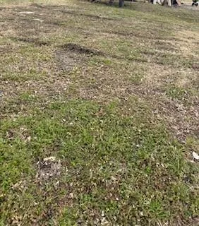 $50,000 | 3 Orr 0.069 Acre Ash Street, Ferris, TX 75125