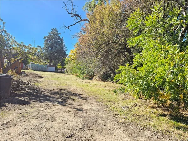 $17,500 | 16165 Florence Street, Lower Lake, CA 95457