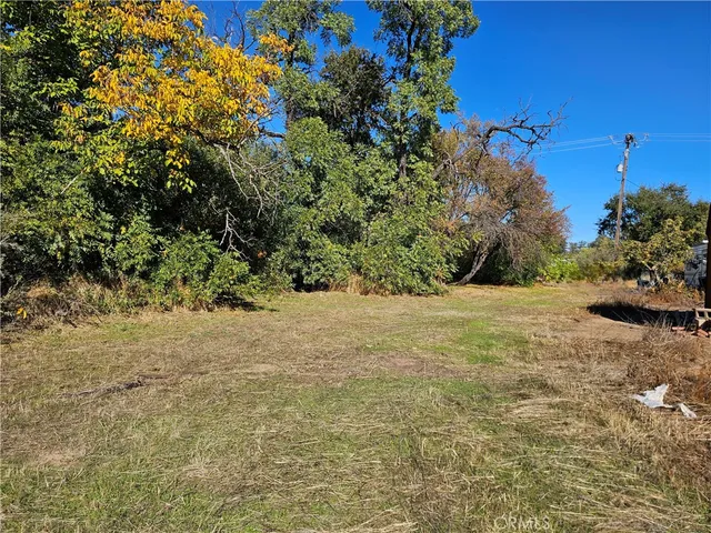 a view of a yard with a tree
