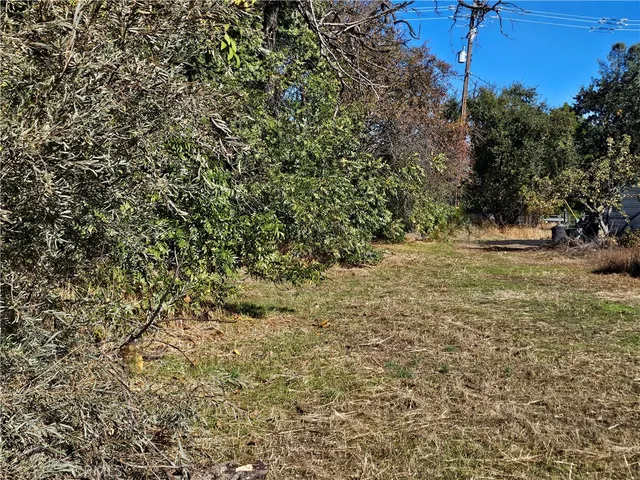 a view of a yard with a tree