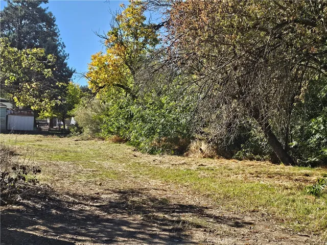 a view of yard covered with snow
