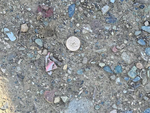 a picture of a tree in a yard