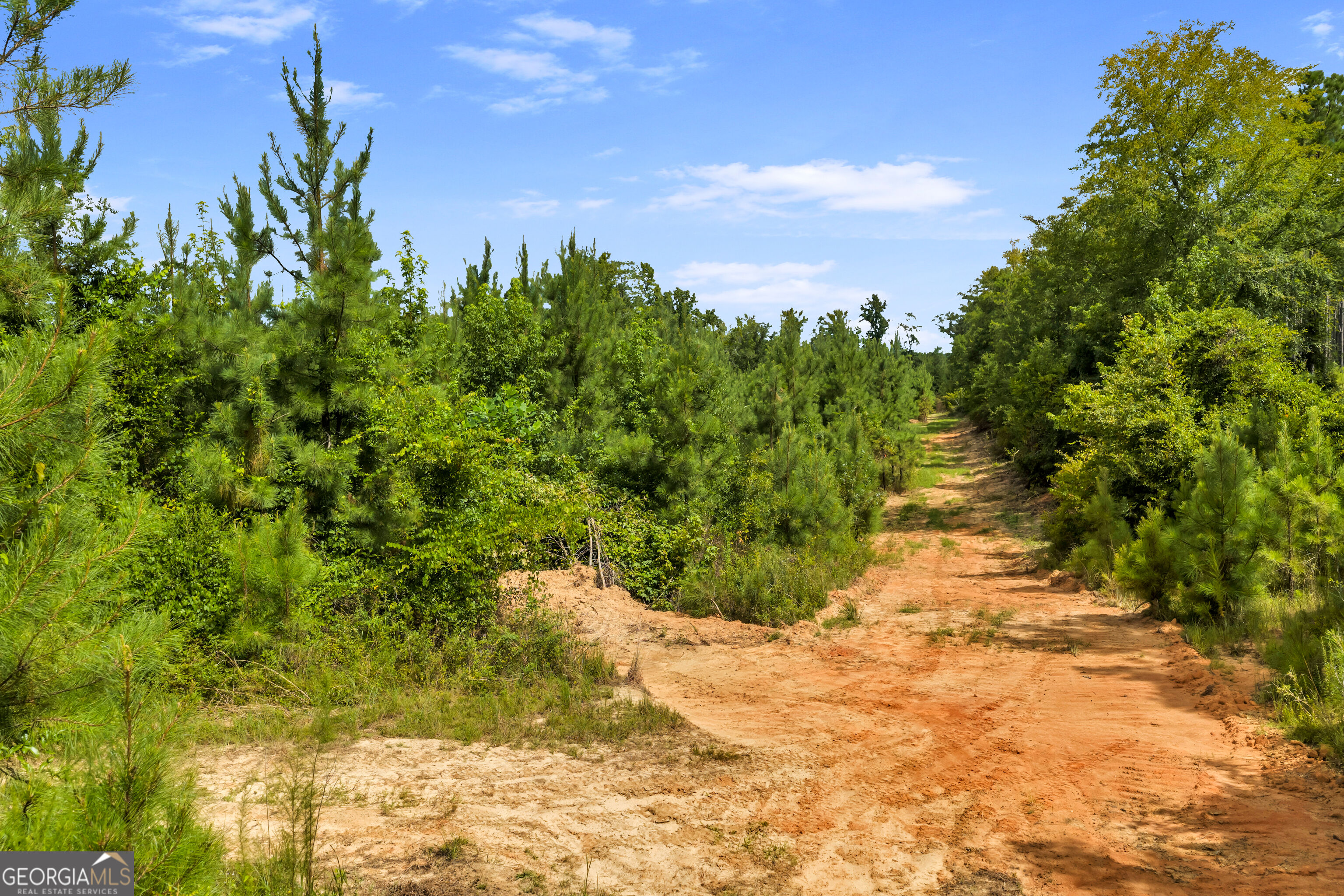 100 Bussey Place Road Morris, GA 39867 - Photo 119 of 174 Gallery Image 119